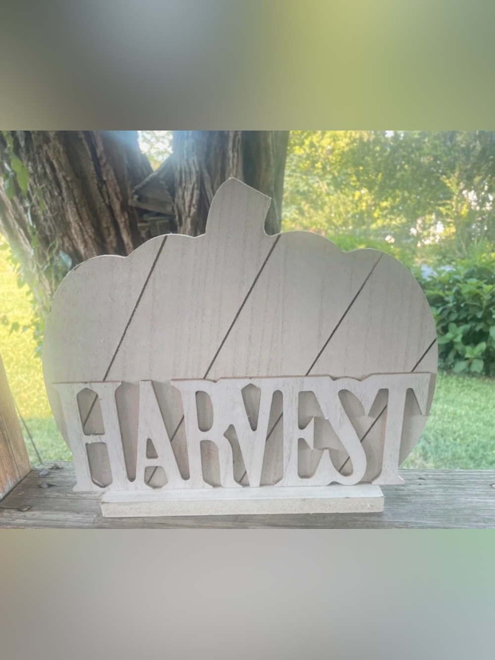 Wooden 'HARVEST' Pumpkin Sign - Whitewashed